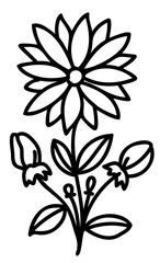 Line art flowers set. Collection of black and white thin linear flowers. Decorative illustrations, contour floral set. PNG with transparent background.