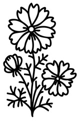 Line art flowers set. Collection of black and white thin linear flowers. Decorative illustrations, contour floral set. PNG with transparent background.