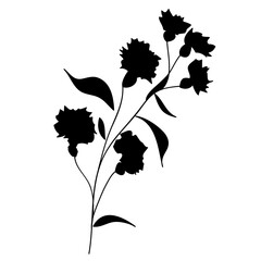 Wild Flower Silhouette. Hand Drawn Floral Illustration	