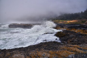 Cape Perpetua Crashing Waves and Tide Pools Oregon Coast fog views by Thor's Well and Spouting Horn on Captain Cook Trail. USA.