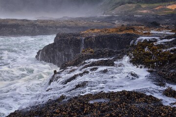 Cape Perpetua Crashing Waves and Tide Pools Oregon Coast fog views by Thor's Well and Spouting Horn on Captain Cook Trail. USA.