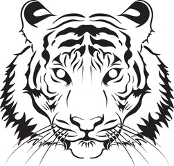 Illustration of the Tiger face