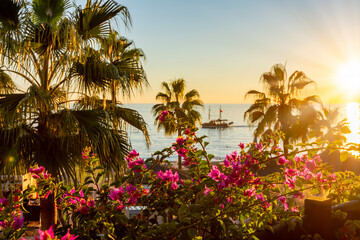 Scenic sunset with palm trees and flowers