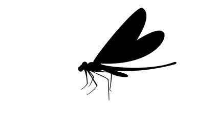 Dragonfly silhouette