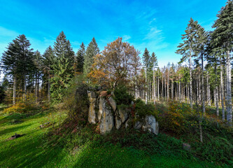 Naturdenkmal Blauer Stein im Schwarzwald auf dem dem Weitwanderweg Querweg von Freiburg zum Bodensee - 543277024