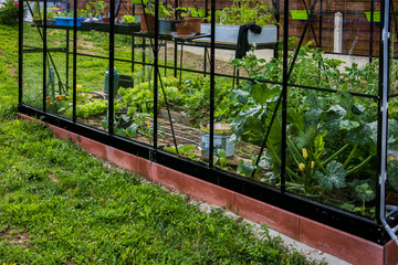 Serre en verre dans le jardin