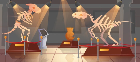 Empty historical museum interior of paleontology with dinosaur skeleton and ancient artifacts. Cartoon exhibition hall with exhibits of archeology, prehistoric animals. Archaeological dino on pedestal © redgreystock