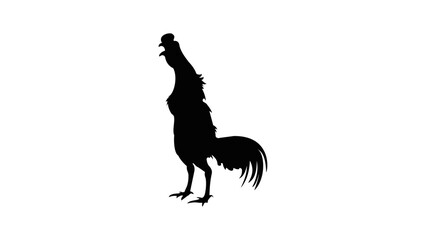 Fighters rooster silhouette © OMIA