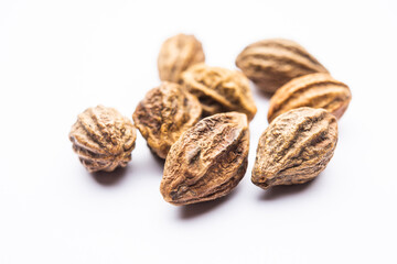 Terminalia chebula, commonly known as black- or chebulic myrobalan or hirda