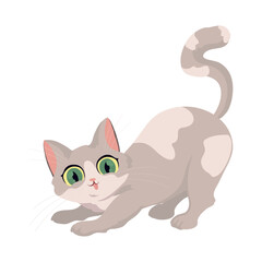 cute cat design