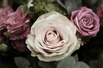 Bouquet de roses 