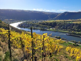 Scenic view of Moselle river surrounded by hills reflecting on water surface on a sunny day