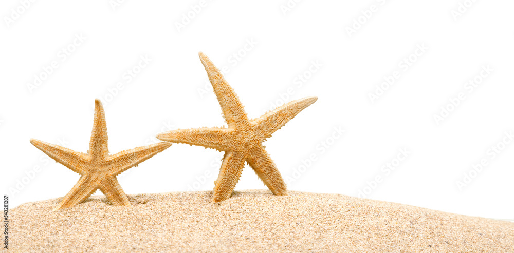 Sticker Starfish on Beach Sand. Close up