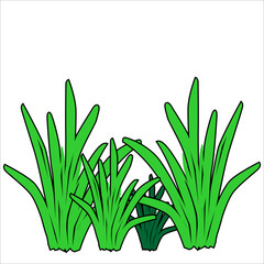 unique green grass vector design.and on a white background