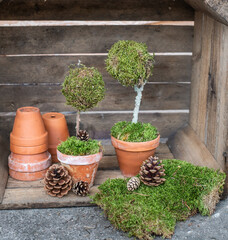 Weihnachtsdeko basteln, Baum aus Moos gestalten, Dekoration im Advent selber machen, DIY