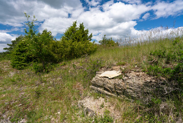 Naturschutzgebiet Wacholderheide Münnerstadt, Unterfranken, Bayern, Deutschland