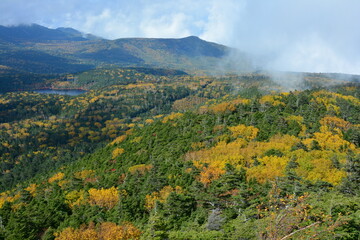 Fototapeta premium 白駒池登山