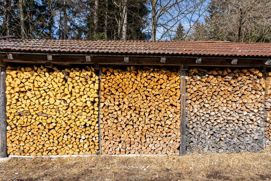 Steigende Energiekosten in der Krise: Brennholz Lager mit verschiedenen alten Holzsorten, Scheitholz überdacht am Waldrand