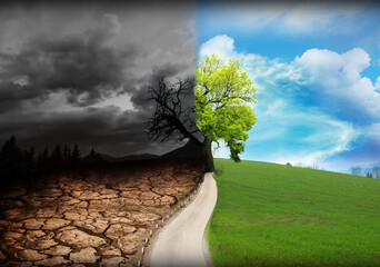 Half dead and alive tree outdoors. Conceptual photo depicting Earth destroyed by environmental...