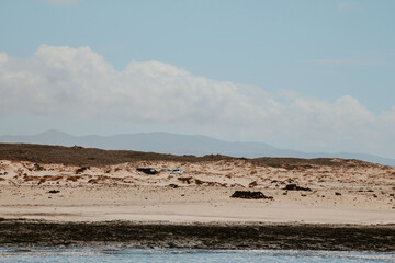 desert landscape with sky and clouds,winter escape of europe,fuerteventura,canary island ,spain