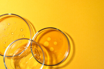 Petri dishes with liquids on orange background, flat lay. Space for text