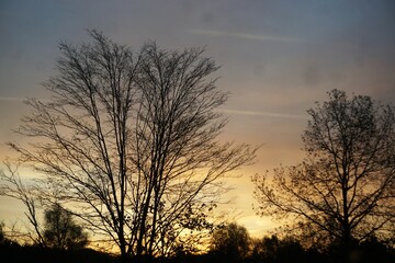 Kahle Bäume vor rot-gelb-blauem Himmel am frühen Morgen bei Sonnenaufgang im Herbst