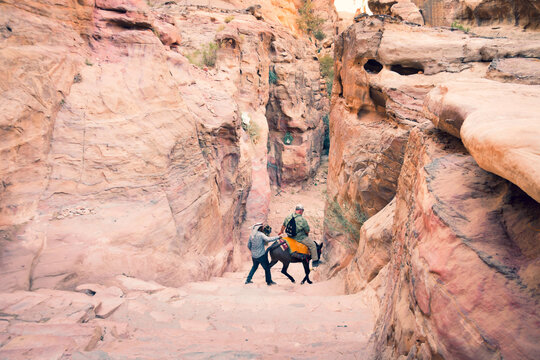 Petra, Jordan - 7th october, 2022: bedouin master with donkey take overweight Petra male visitor client downstairs from little Petra - monastery uphill