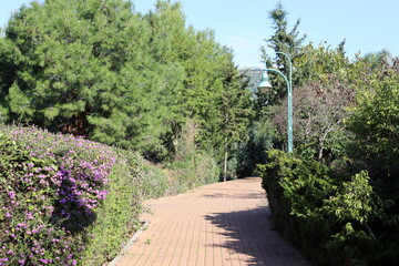 Pedestrian road in the city park on the seashore.