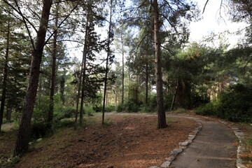 Pedestrian road in the city park on the seashore.