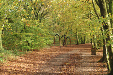 Autumn gold and yellow leaves on a tree lined avenue leading to the Wellington Monument in Somerset