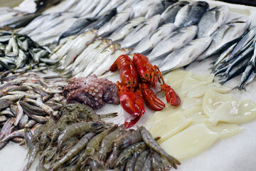 Fresh fish on the market stall