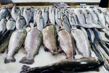 Fresh fish on the market stall