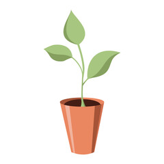 Potted Plant, Vector Illustration, House plants and flower pots