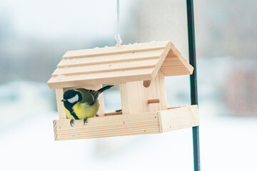 a great tit in a hanging wooden bird feeder on a winter day - obrazy, fototapety, plakaty