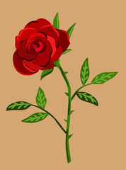 Red rose with thorns and leaves. Vector vintage illustration on beige background.