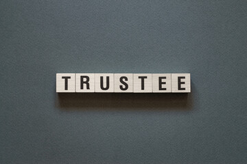 Trustee - word concept on cubes