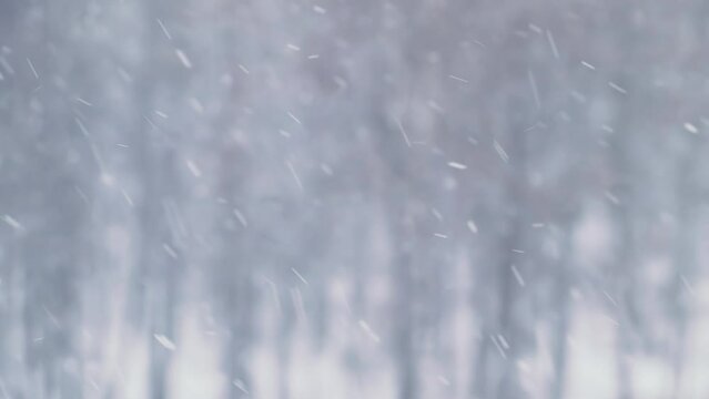 Close-up of snowfall. Snow blizzard in winter. Snowflakes fall on bokeh background. Slow motion blur. Selective focus.