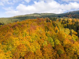 Fototapeta premium Aerial Autumn view of Vitosha Mountain, Bulgaria