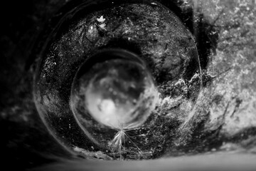 Decorative epoxy shell with bokeh effect