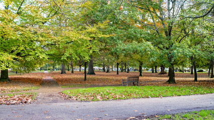 Autumn colours in the Grove, one of the oldest public parks in the town of Royal Tunbridge Wells,...