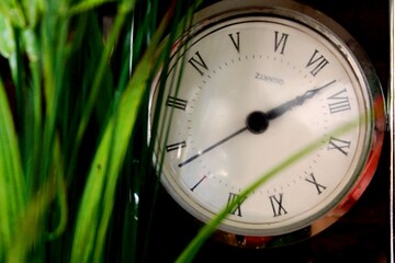 Vintage clock and plant leaf with bokeh effect