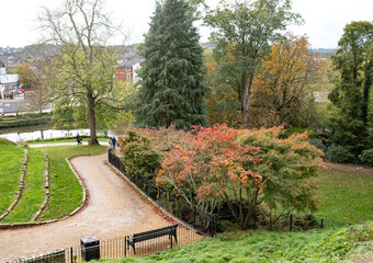 Fototapeta na wymiar Overcast afternoon in a park in full autumn colours
