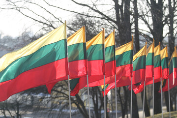 Flag of Lithuania flying in the wind - obrazy, fototapety, plakaty