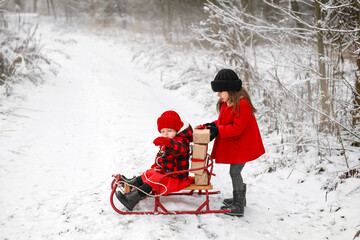 A cute little beautiful girl loads Christmas gifts into a sled where her younger sister is sitting....