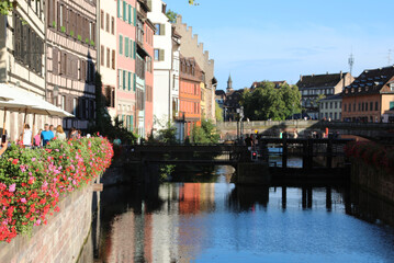 Geranium flowers in pots on the bank of the ILL river in Strasbourg France