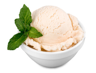 Ice Cream Scoop in a Bowl