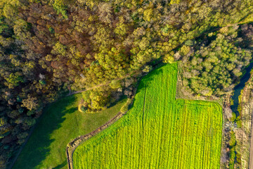 Jesienny krajobraz doliny rzeki Odry, okolice Jeleniej Góry, widok z drona - obrazy, fototapety, plakaty