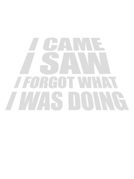 I came saw forget