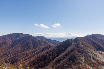 日本の鳥取県大山のとても美しい秋の風景