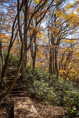 日本の鳥取県大山のとても美しい秋の風景
